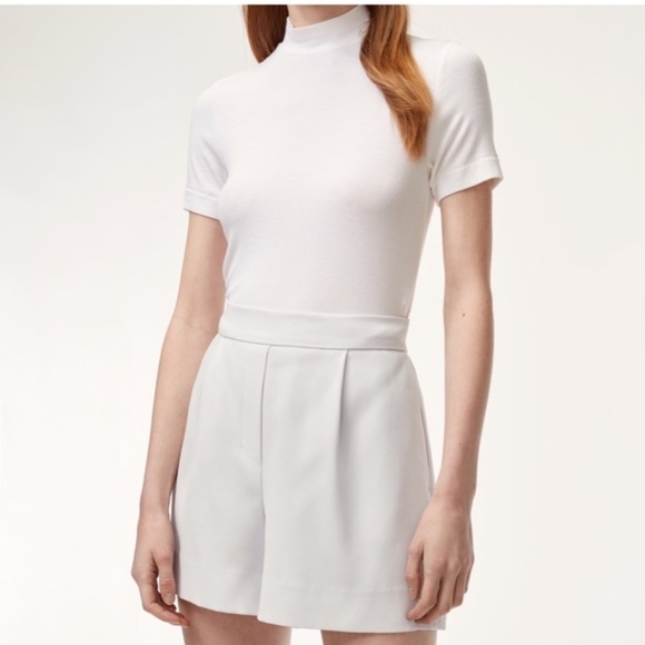 Aritzia Alvin (Cohen) Short Size 0 Navy and White Striped Dress Shorts - Picture 5 of 5